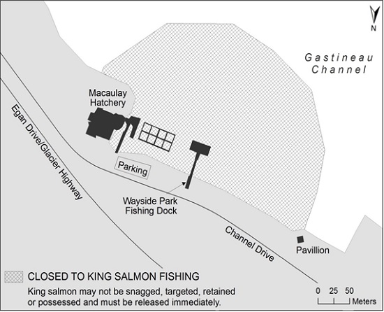 MACAULAY HATCHERY AREA CLOSED TO KING SALMON FISHING  